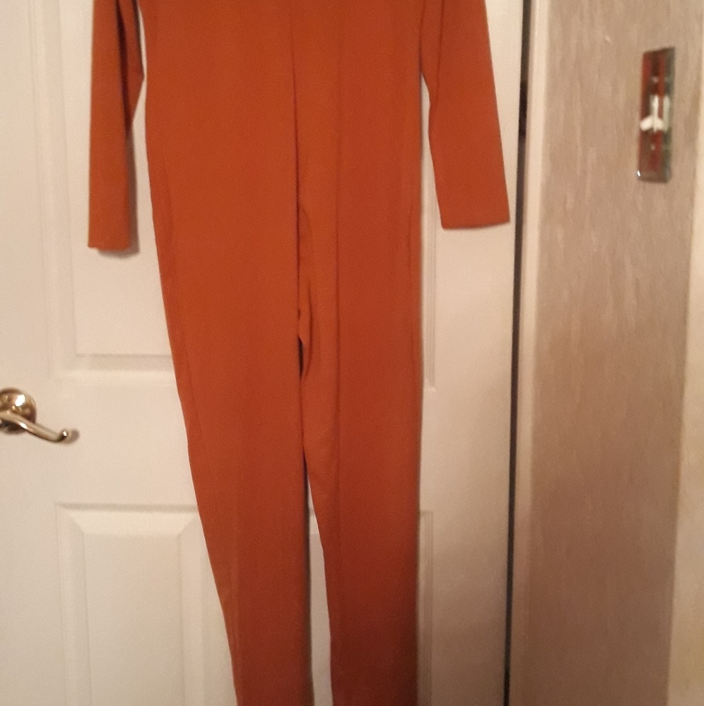 Catsuit - Picture 2 of 2